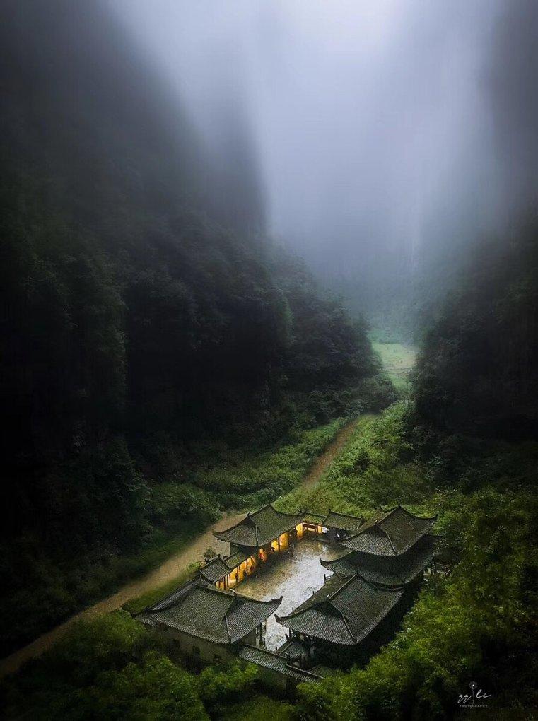 拯救小萌虎
