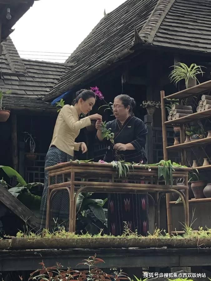 扶苏守边疆，是为了让他积攒军功还是为了贬斥他？游戏画面